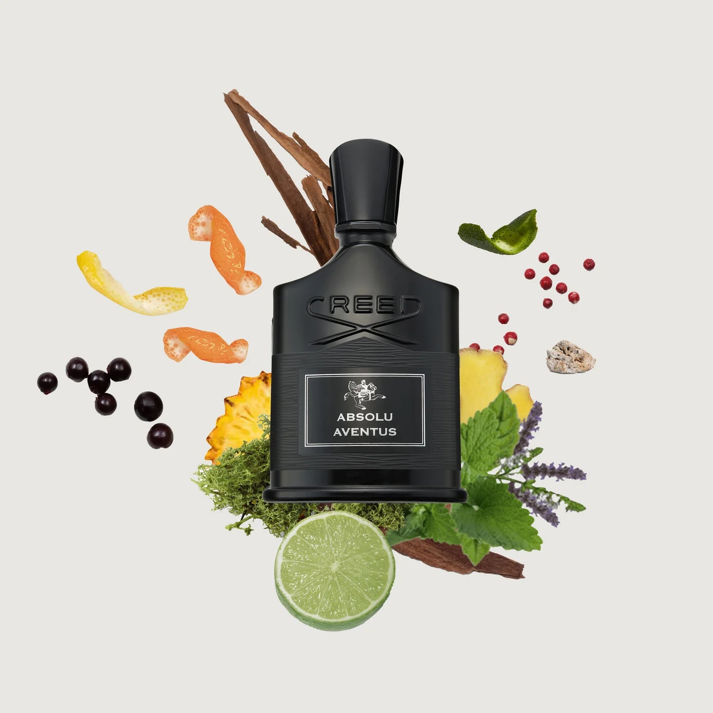 Absolu Aventus (sample)